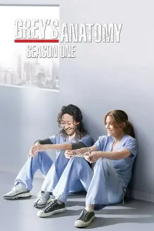 Grey's Anatomy الموسم 1 اون لاين