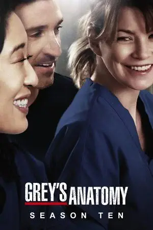 Grey's Anatomy الموسم 10 اون لاين