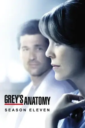 Grey's Anatomy الموسم 11 اون لاين