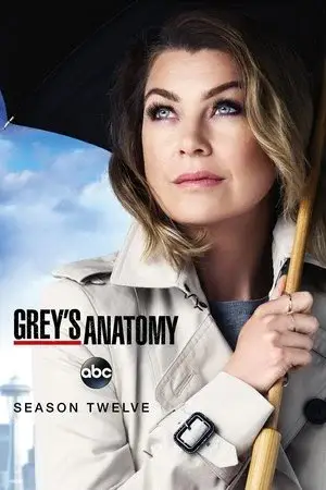 Grey's Anatomy الموسم 12 اون لاين