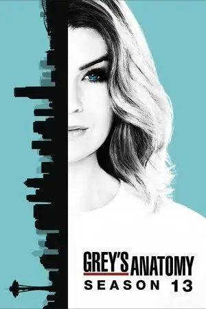 Grey's Anatomy الموسم 13 اون لاين