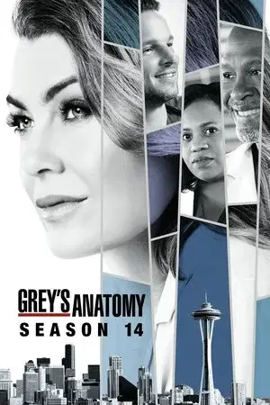 Grey's Anatomy الموسم 14 اون لاين