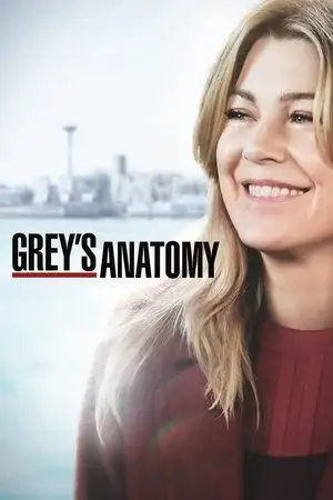 Grey's Anatomy الموسم 15 اون لاين