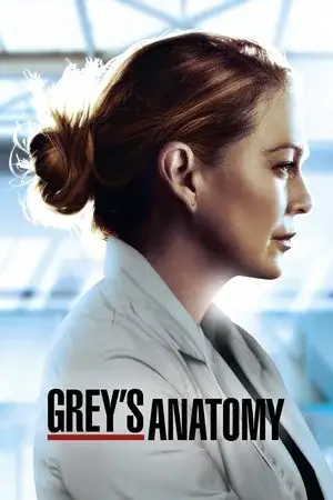 Grey's Anatomy الموسم 17 اون لاين