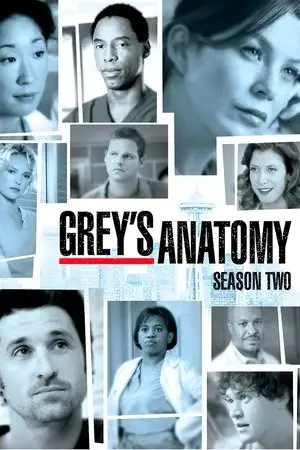 Grey's Anatomy الموسم 2 اون لاين
