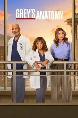 Grey's Anatomy الموسم 22 اون لاين