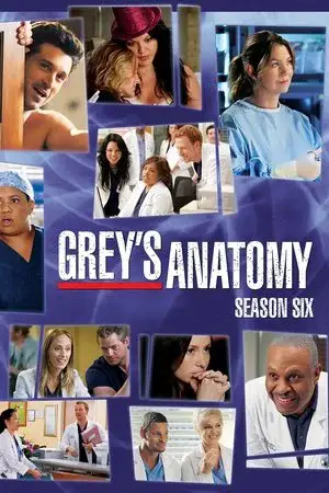 Grey's Anatomy الموسم 6 اون لاين