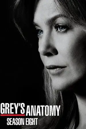 Grey's Anatomy الموسم 8 اون لاين