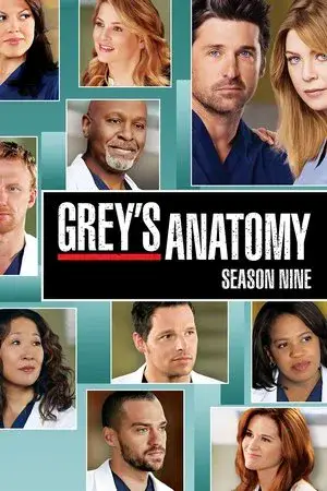 Grey's Anatomy الموسم 9 اون لاين