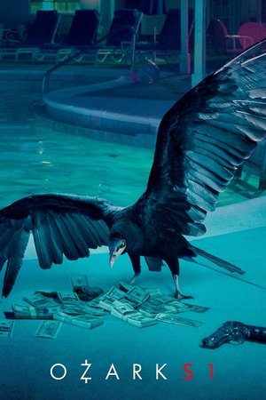 Ozark الموسم 1 اون لاين